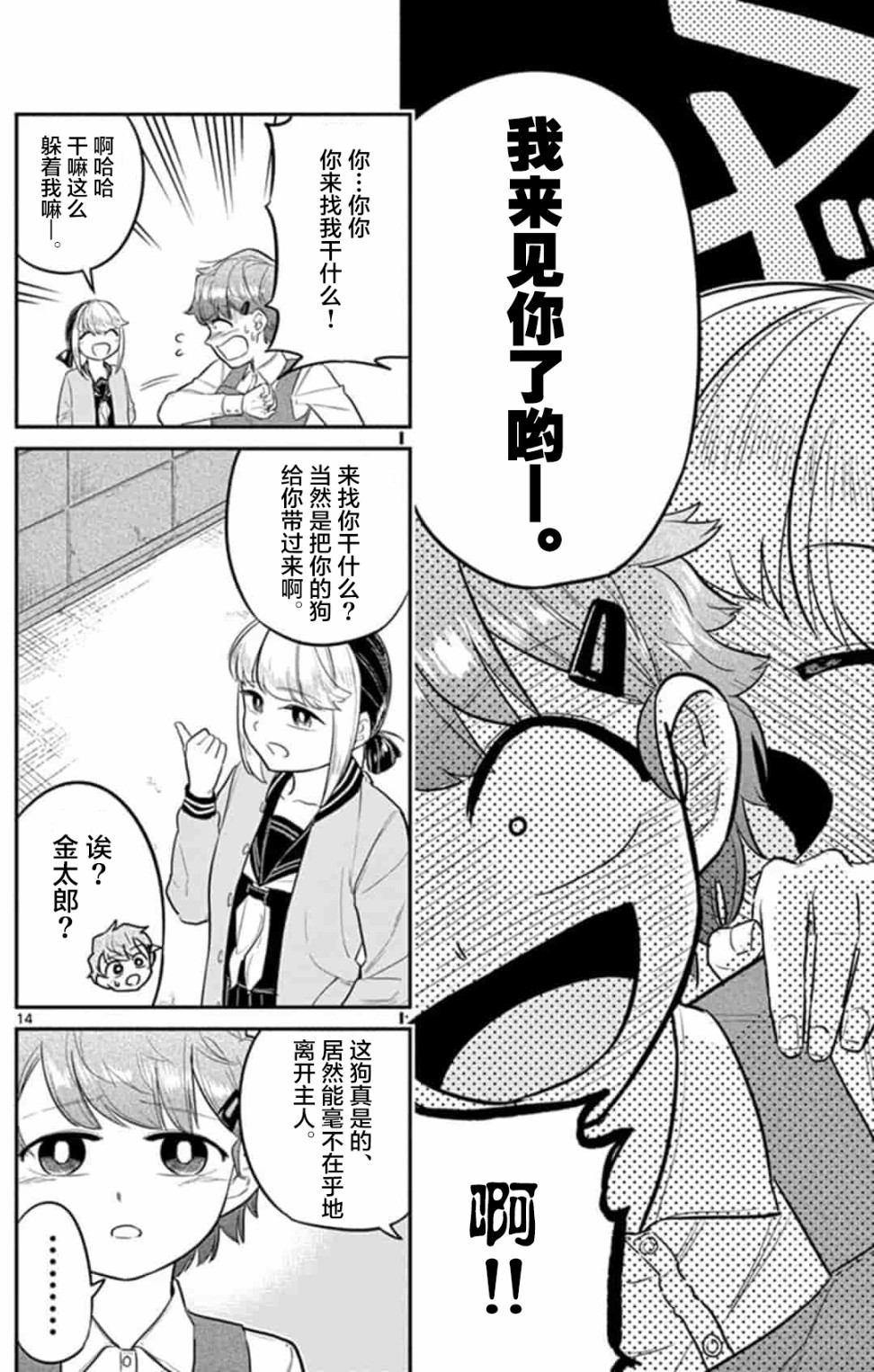 第14页