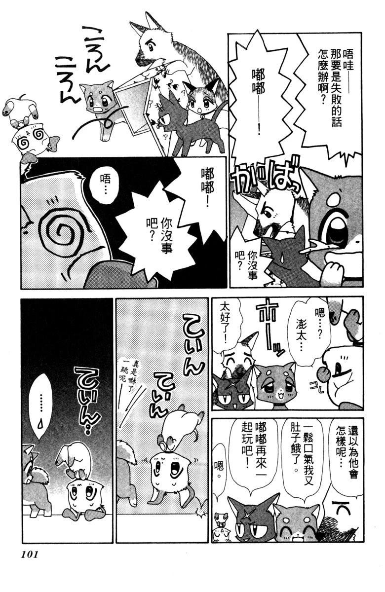 第101页