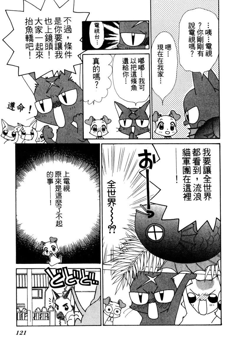 第121页