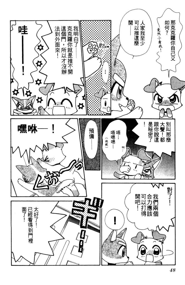 第48页