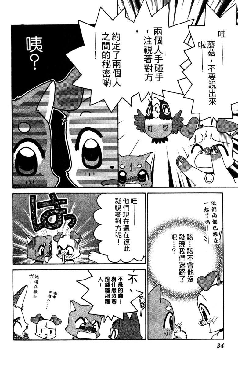 第36页