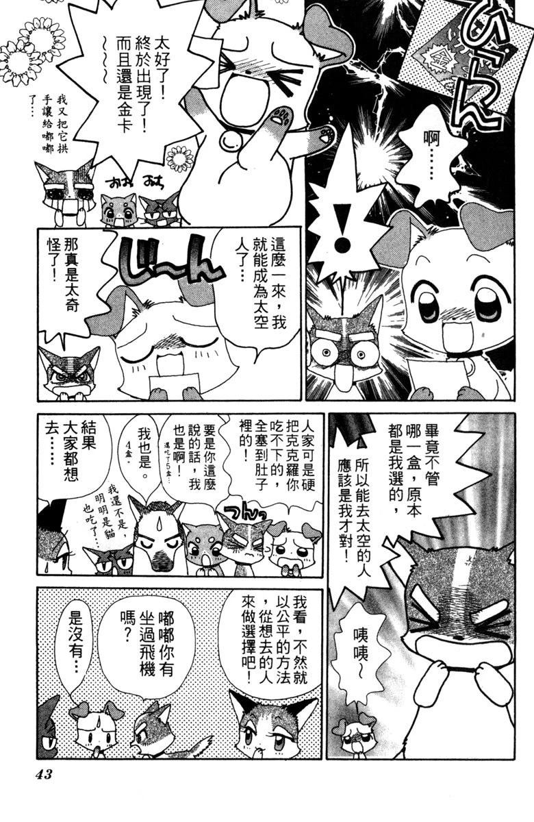第45页