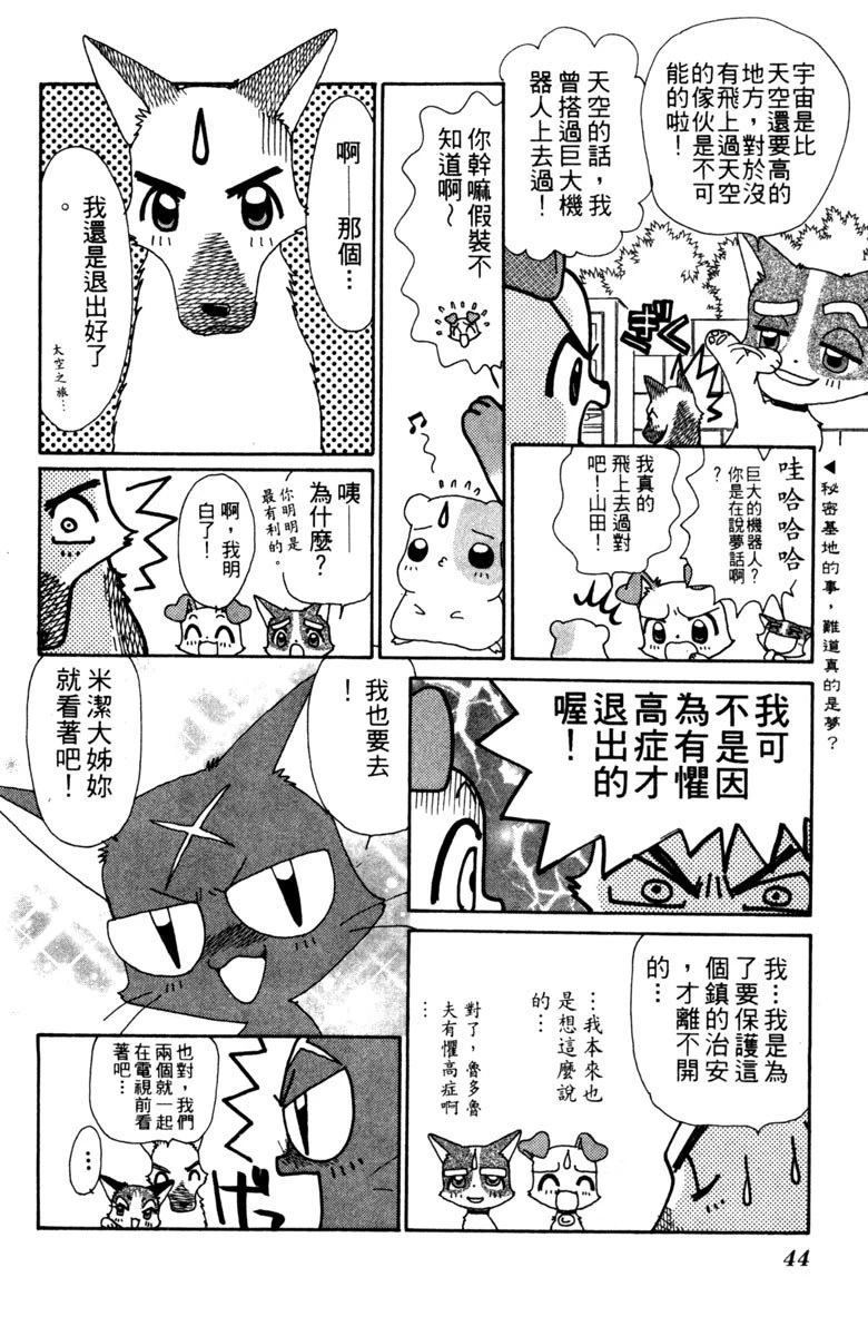 第46页