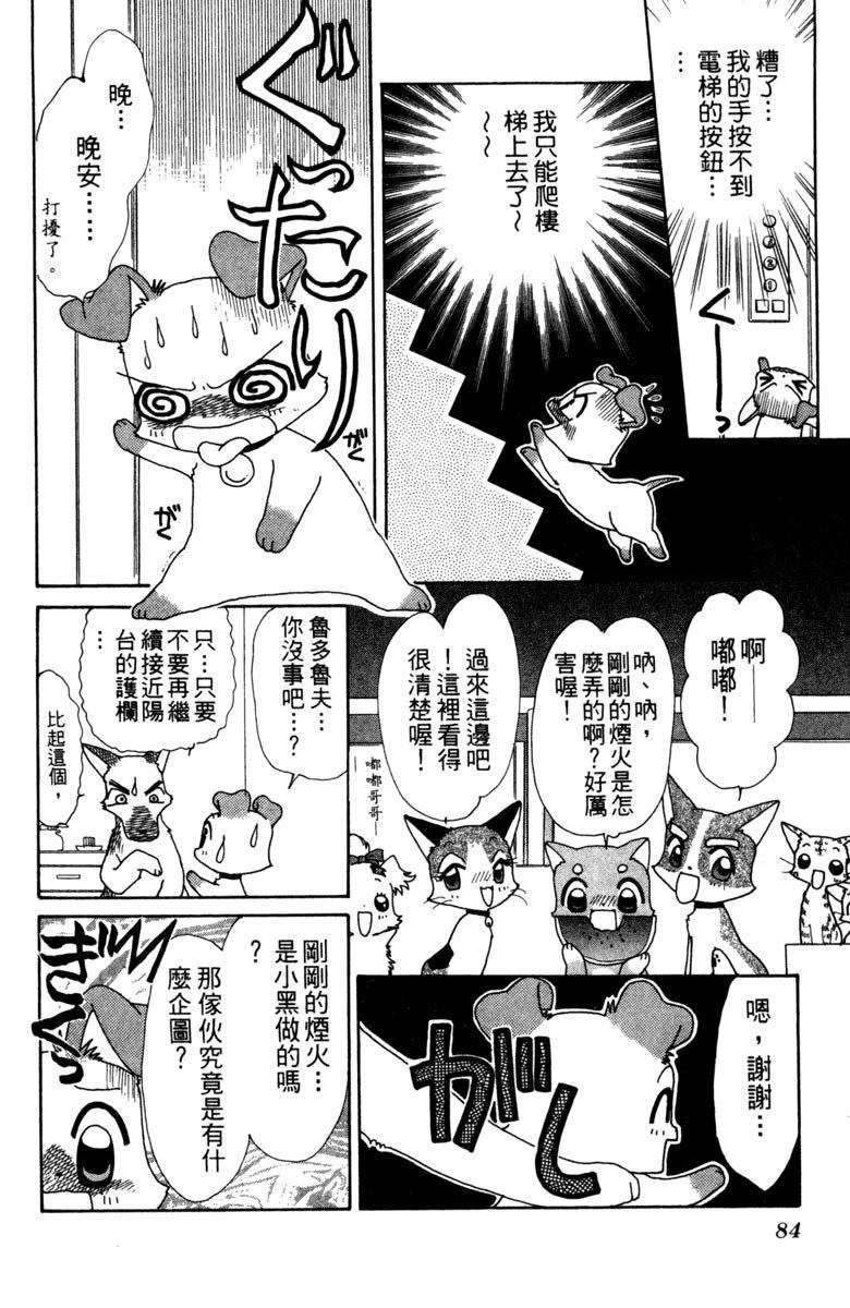 第86页