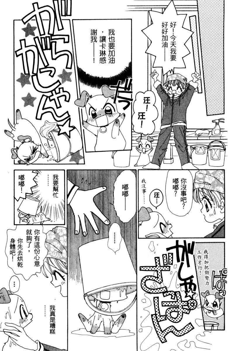 第61页