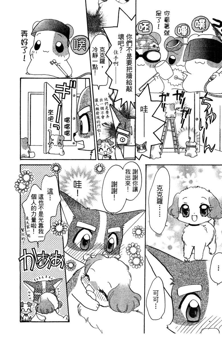 第146页