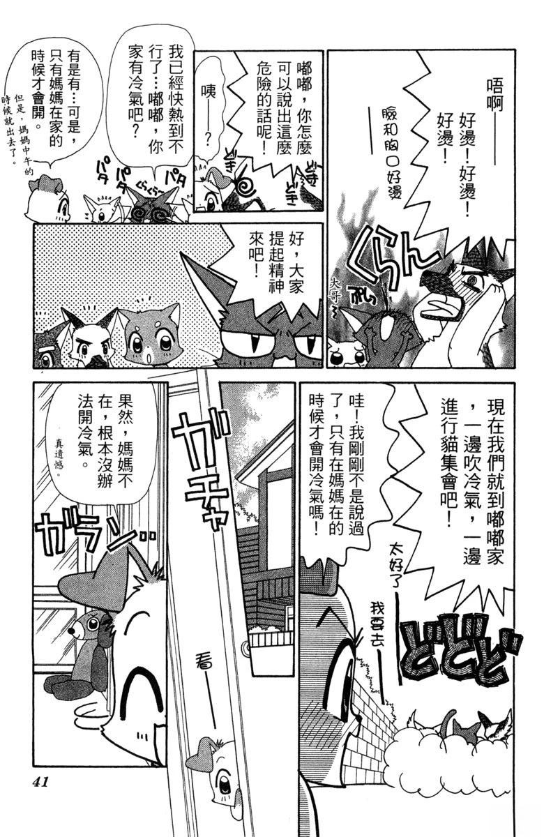 第43页