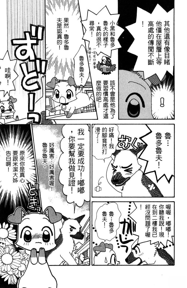 第61页