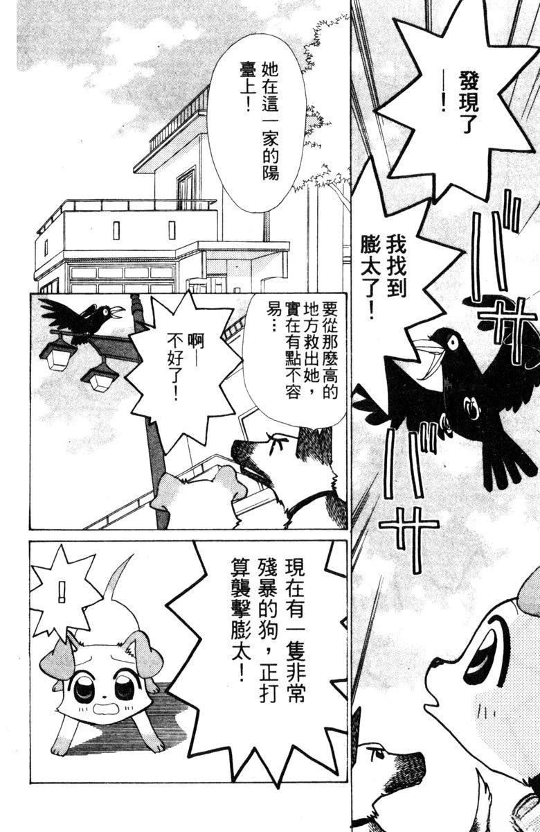 第62页