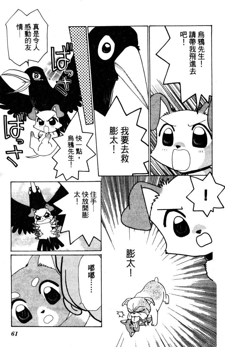 第63页
