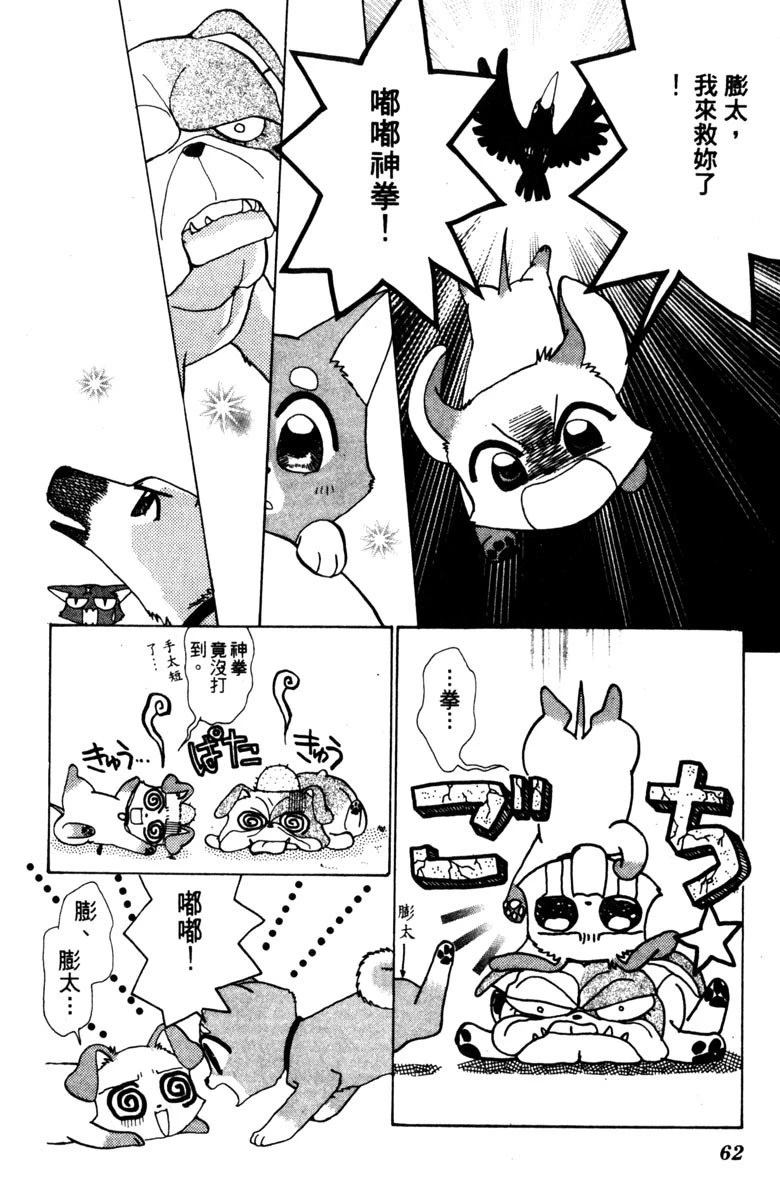 第64页