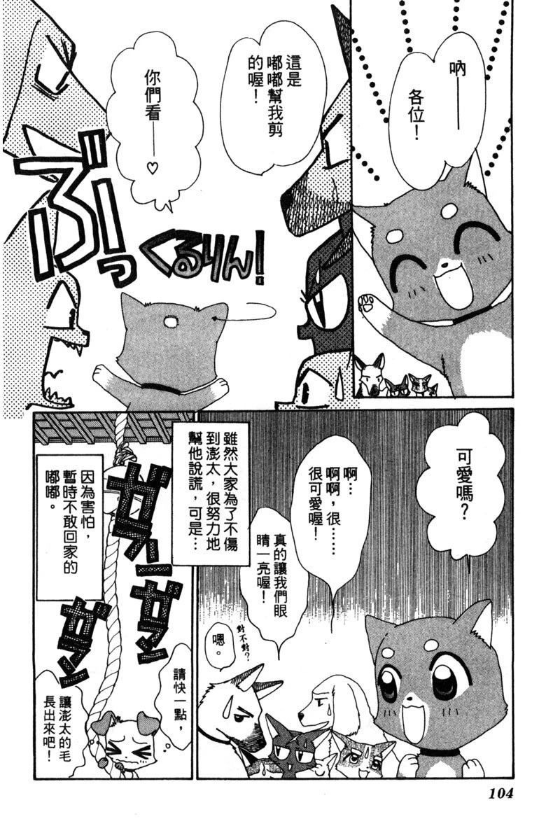 第106页