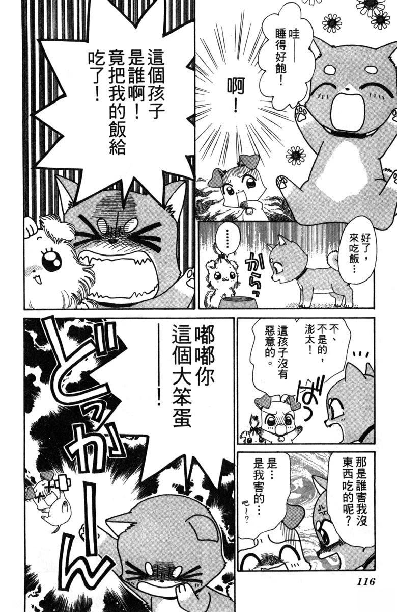 第118页