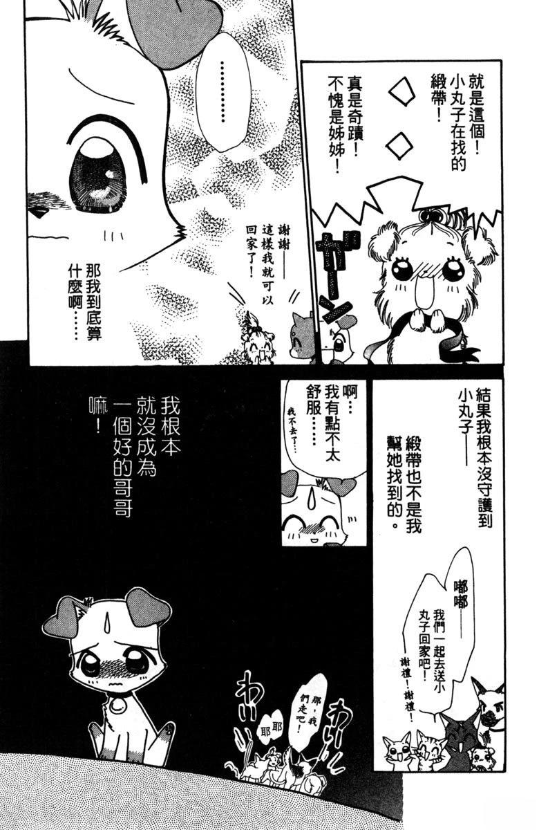 第121页