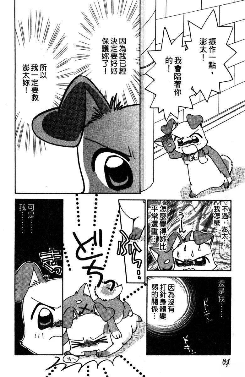 第86页
