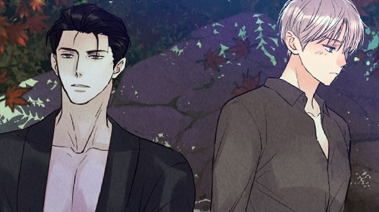 高分2026年看完雨无痕后推荐的漫画