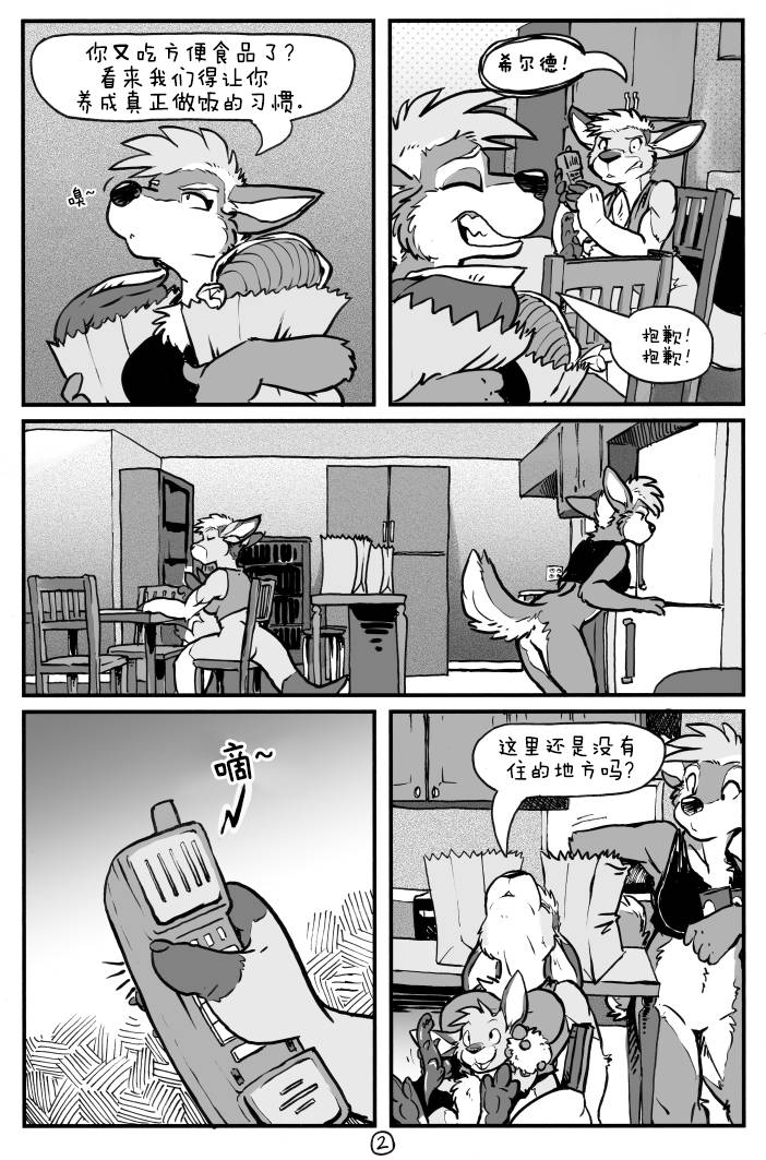 第3页