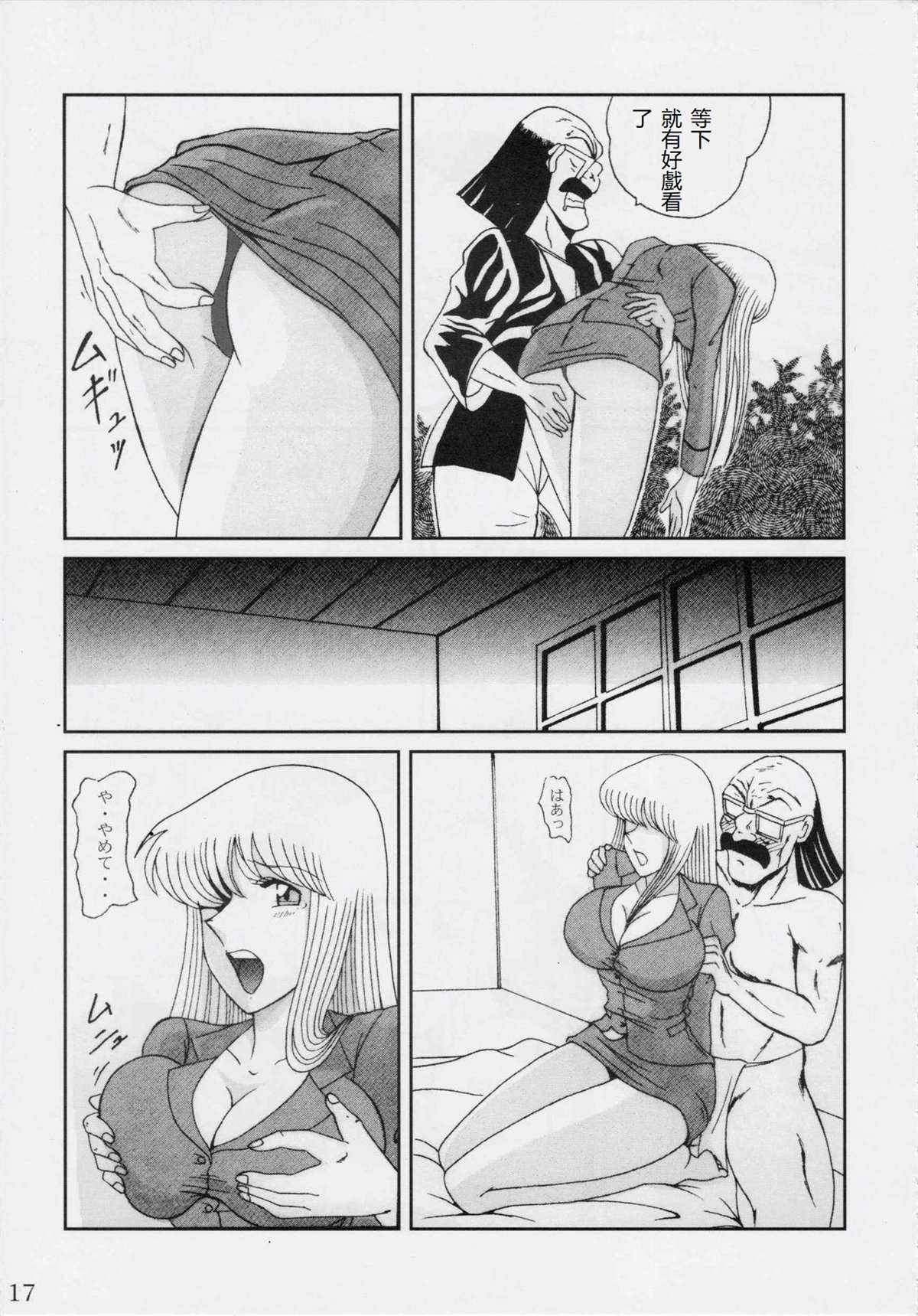 第17页
