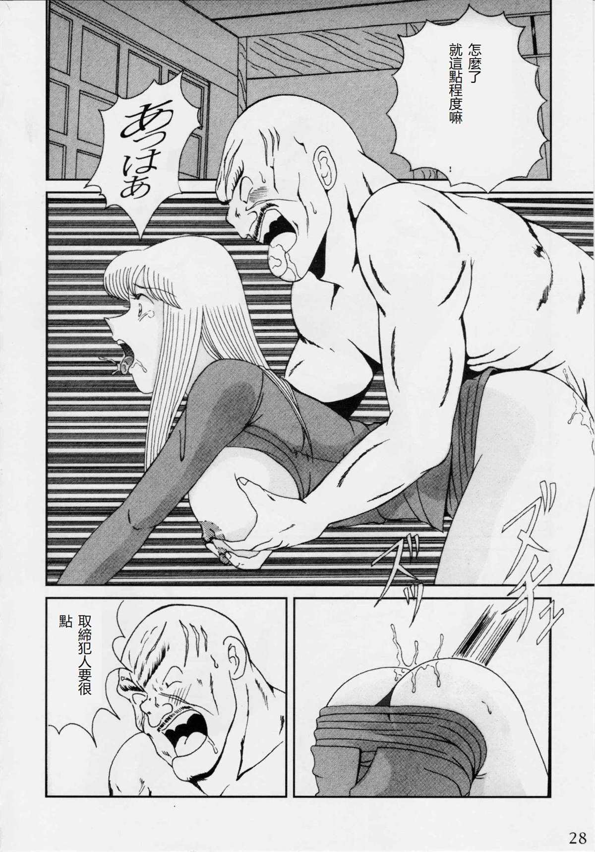 第28页